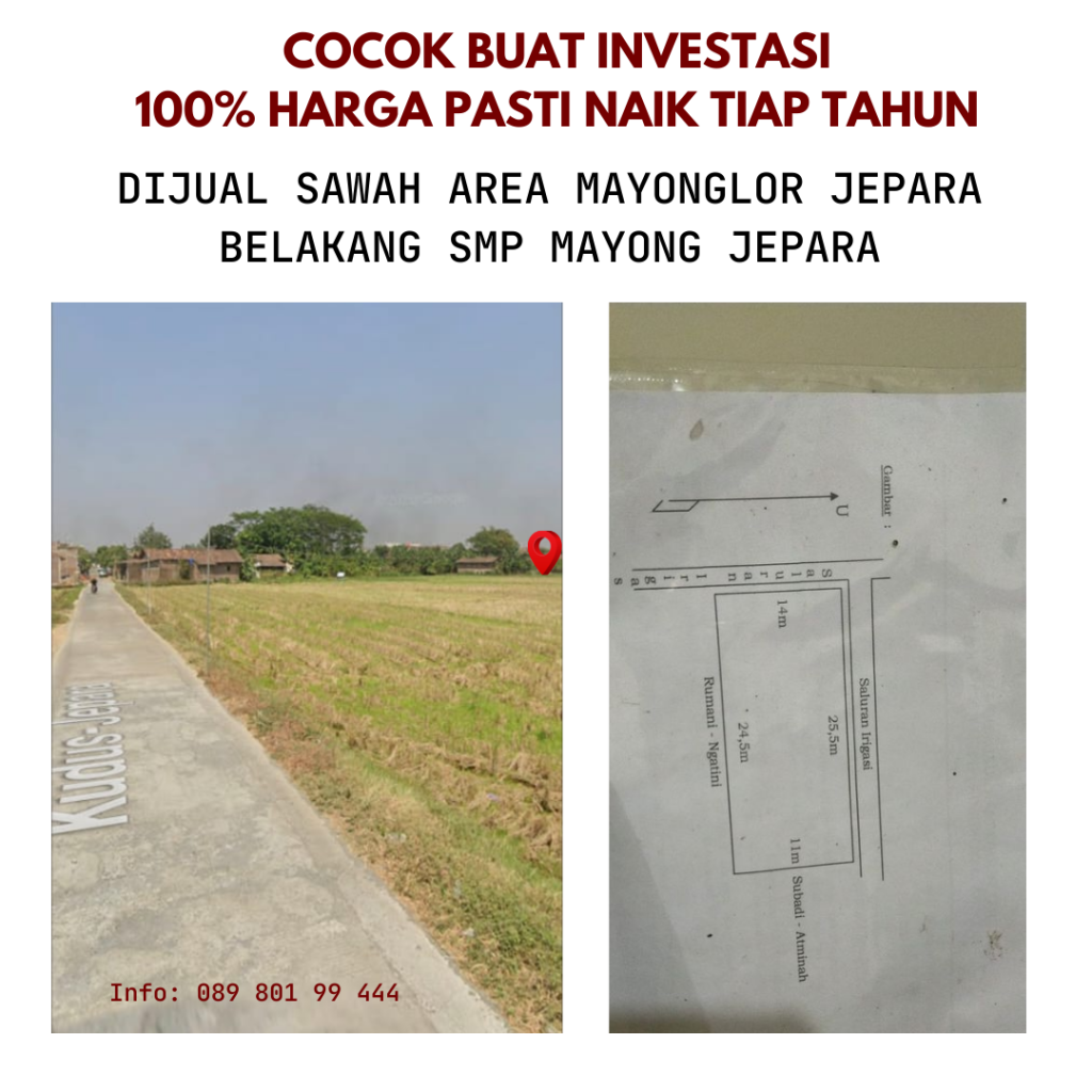 Sawah di Desa Mayonglor